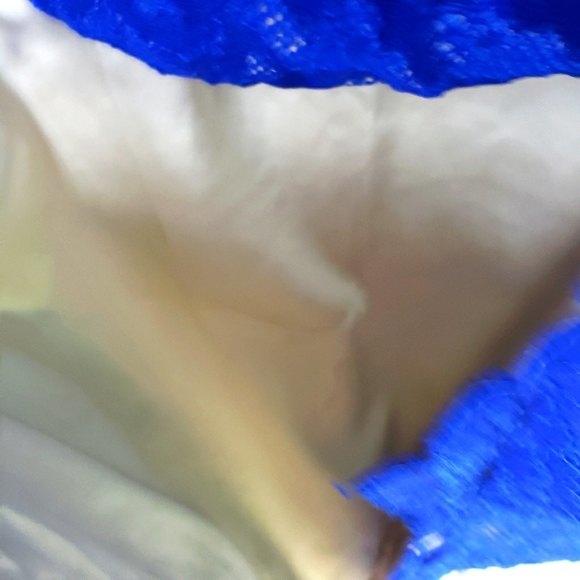 Eliza J Royal Blue Short Lace Bell Sleeve Dress Size 6 - Picture 6 of 13